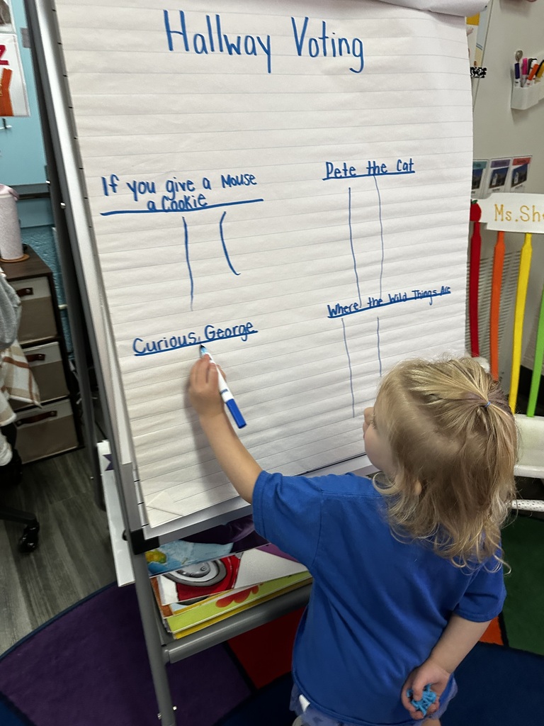 child making a mark on A large pad of paper titles Hallway Voting with marks under the different catagories- If you Give a Mouse a Cookie, Pete the Cat, Curious George and Where the Wild Things Are