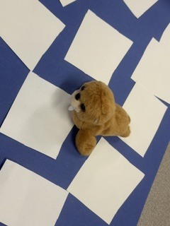 stuffed walrus on a blue piece of construction paper