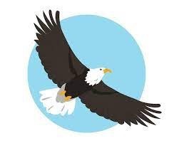 eagle