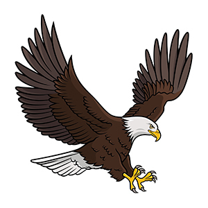 Soaring Eagle