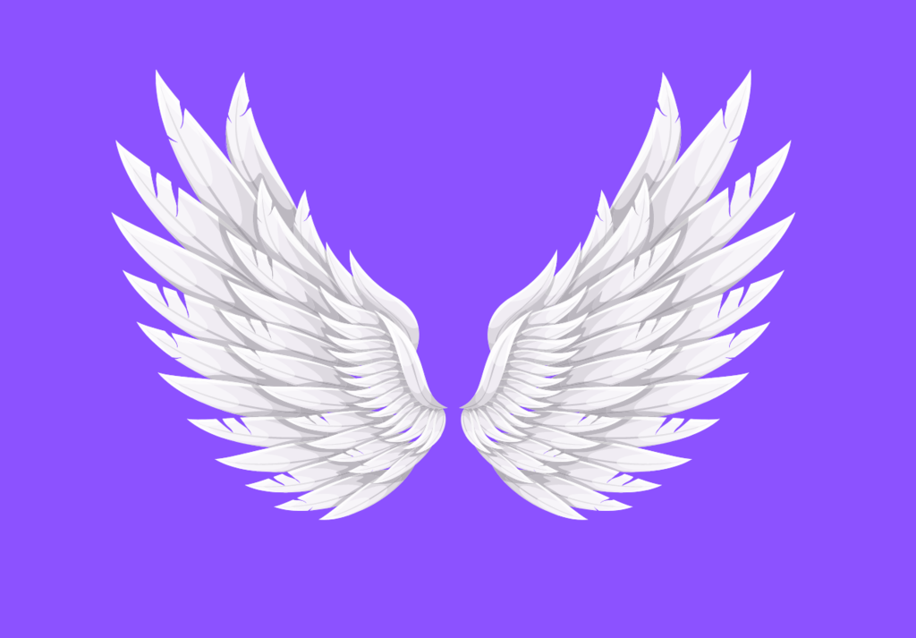 Angel Fund