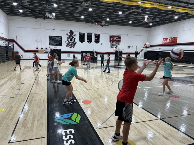 volleyball