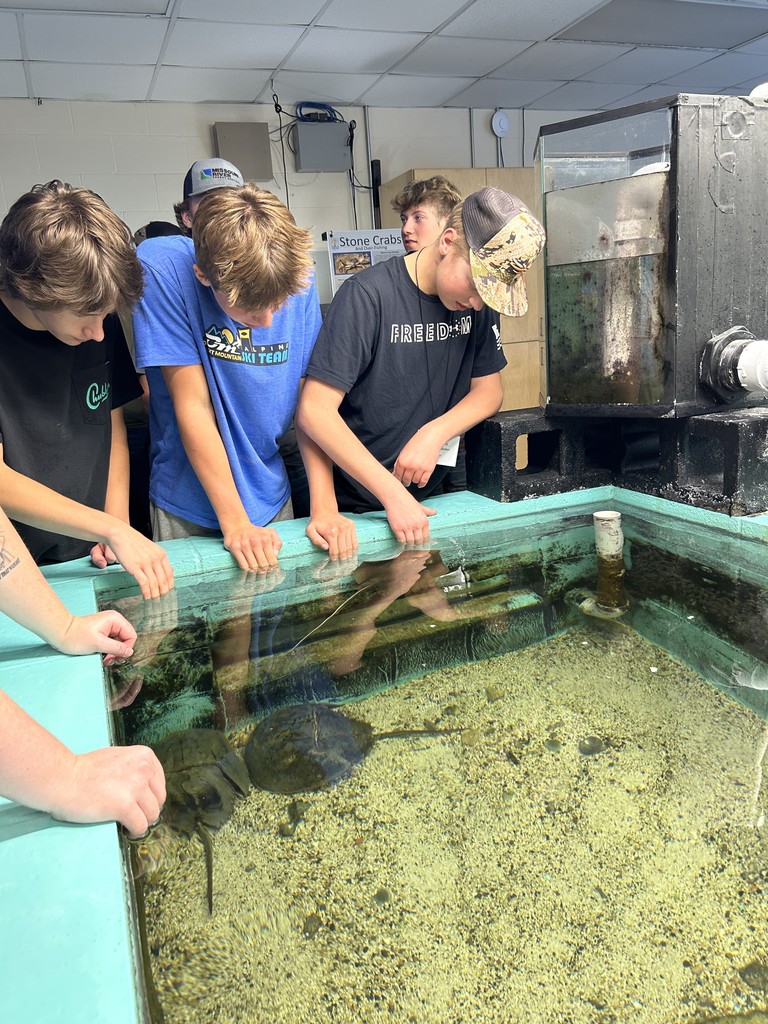 Aquarium