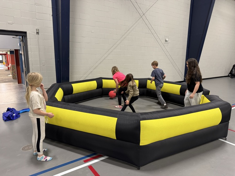 Gaga ball