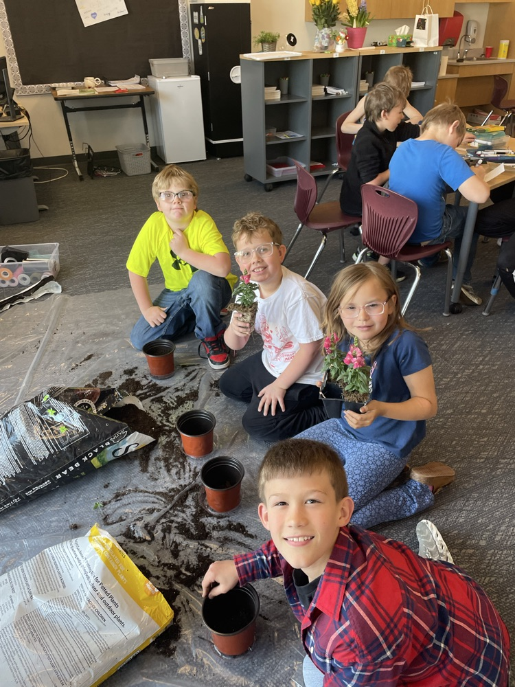 Planting