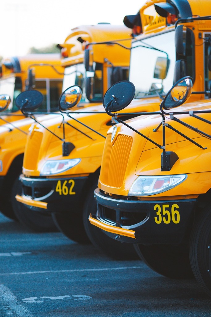 Bus