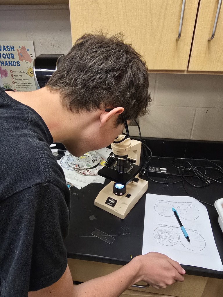 10th Grade student looking at slide in microscope