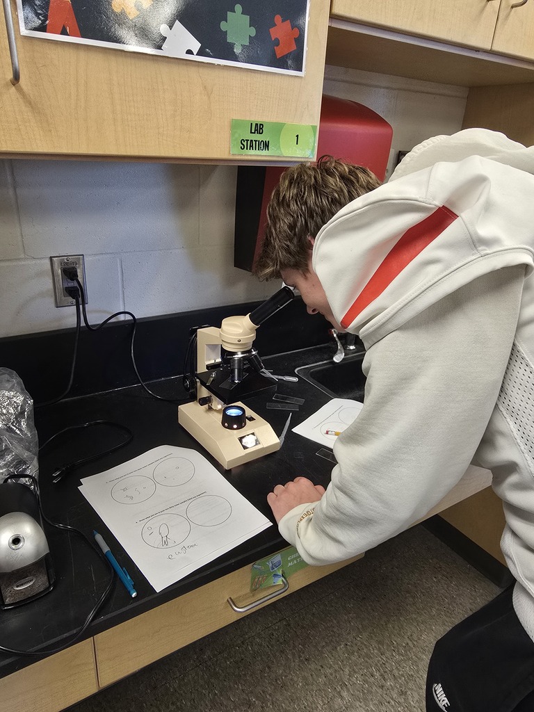 10th Grade student looking at slide in microscope