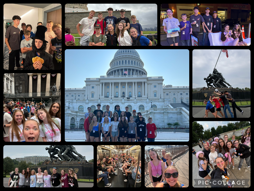 DC/NYC Collage