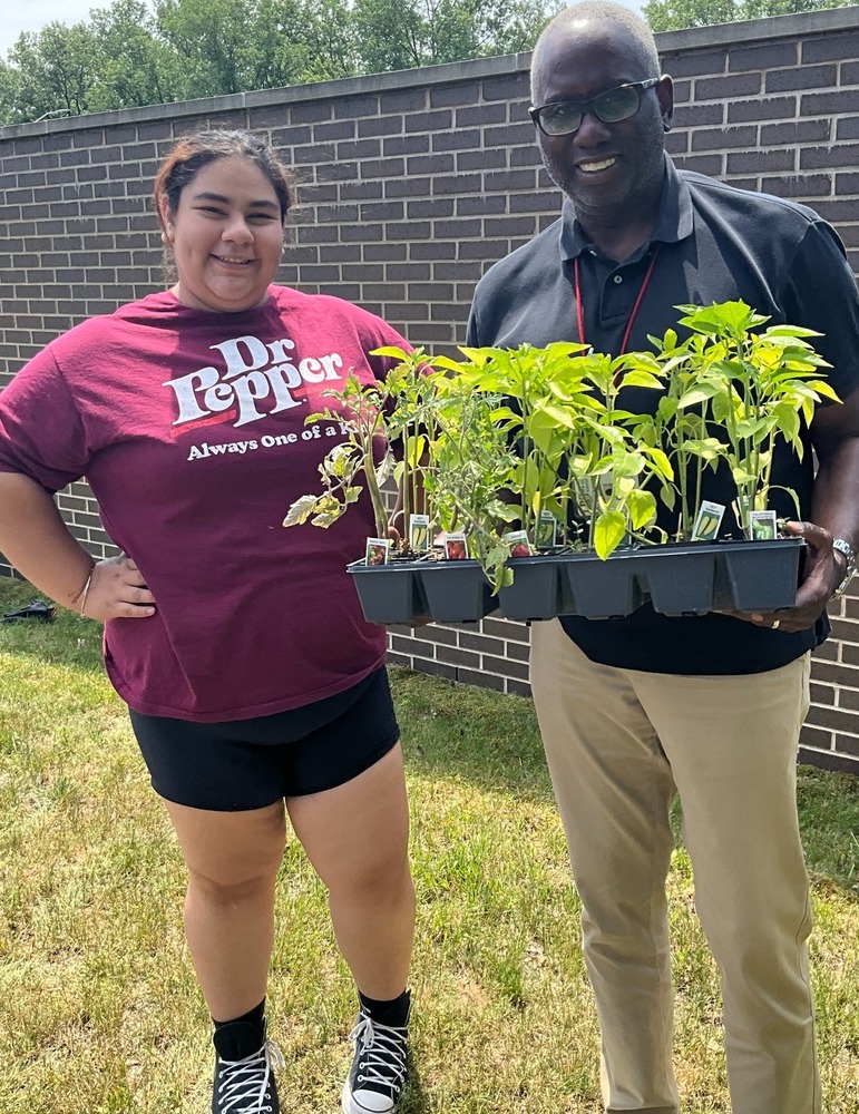 Garden, schools, plants