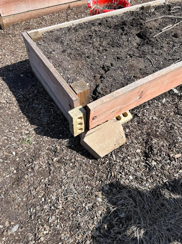 Garden Beds!