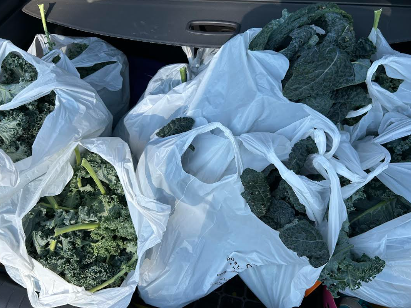 Kale!