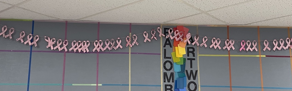 Cancer Awareness Group