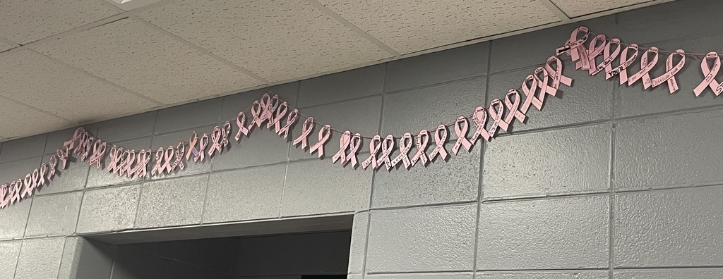 Cancer Awareness Group