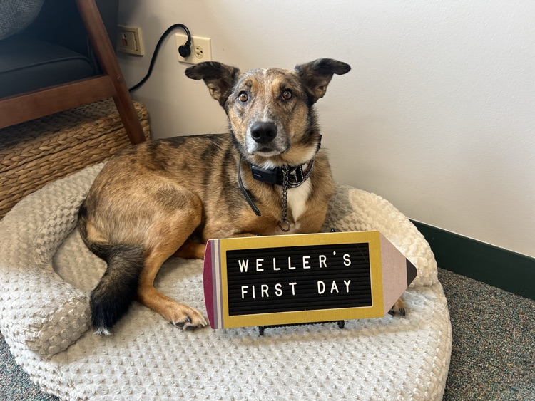 Weller 8/31
