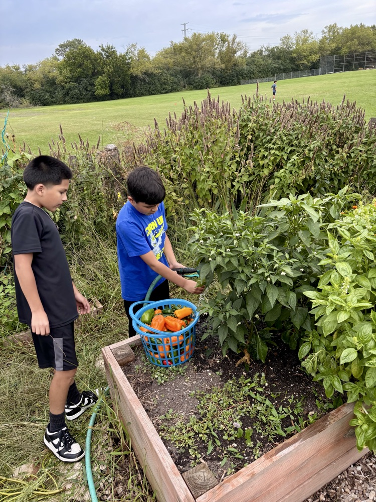 Garden Club