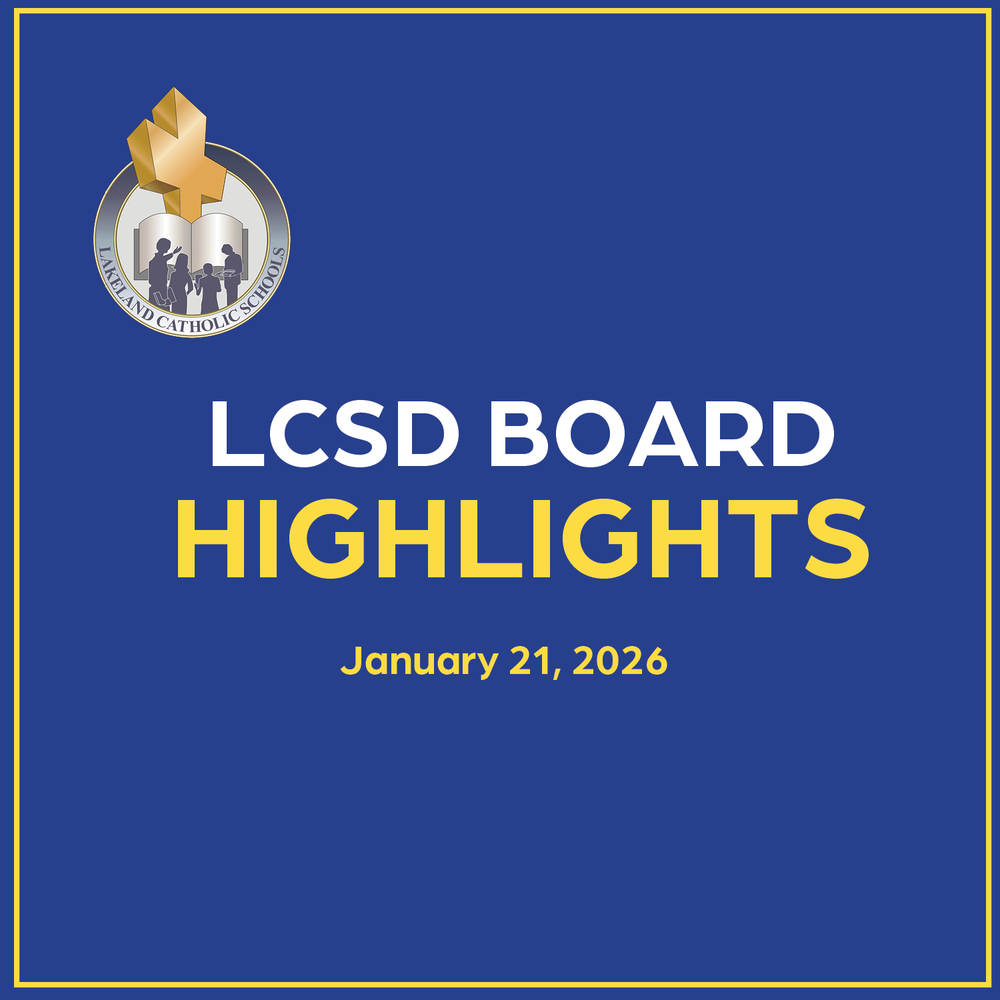 Board Highlights