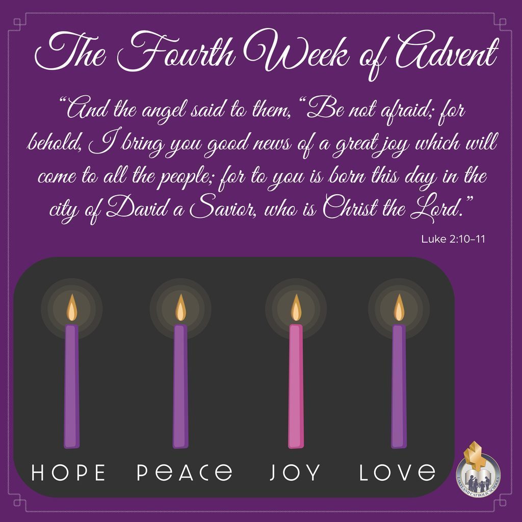 502678653_1264590219008376_4351203830088763120_n