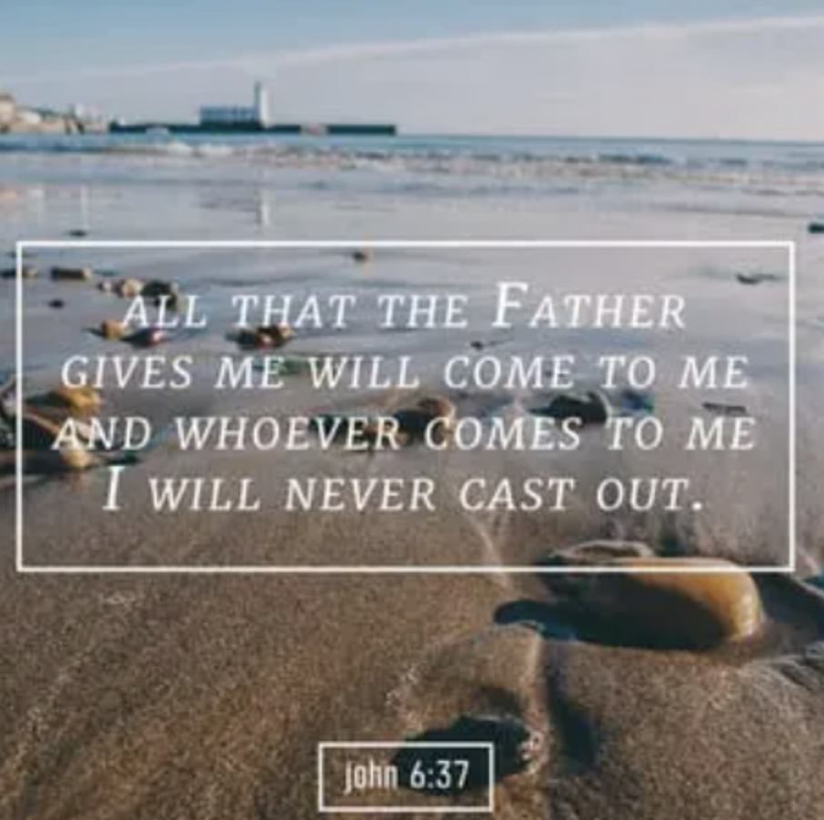 Screenshot 2025-11-02 at 8