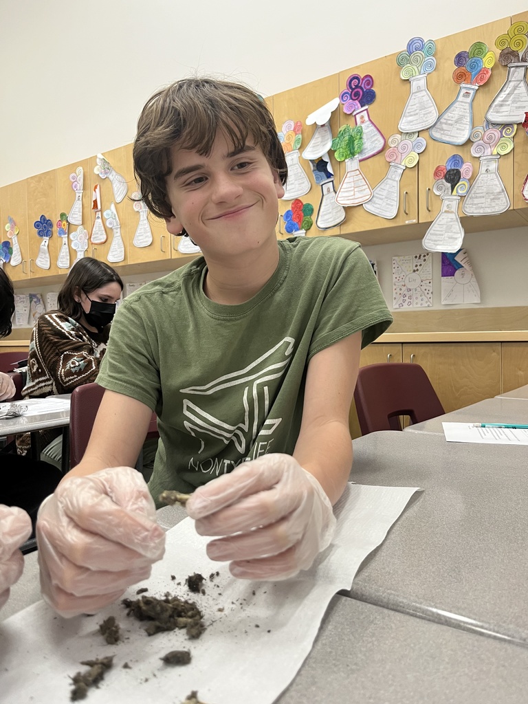 Dissecting Owl Pellets