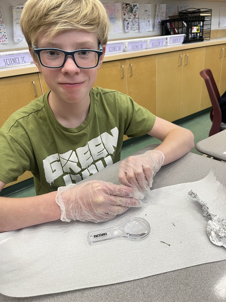 Dissecting Owl Pellets
