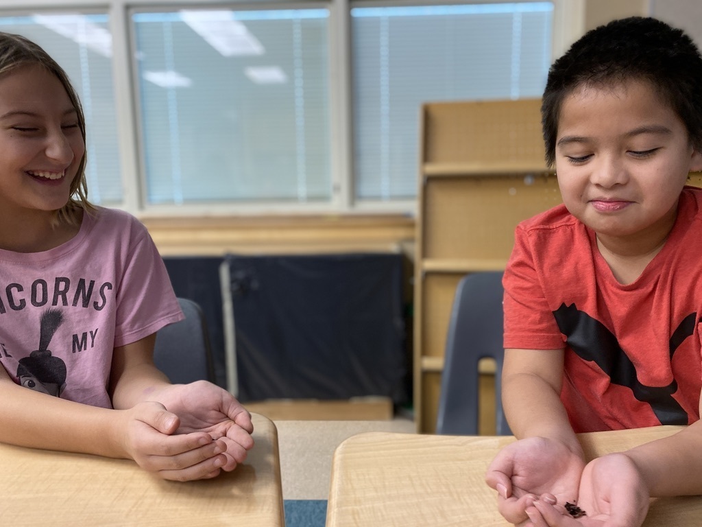 1CAF656B-E76B-4E12-8415-0ADBC553CE53_1_105_c