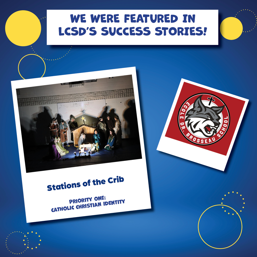 DrB Success Stories Recognition 2025 copy