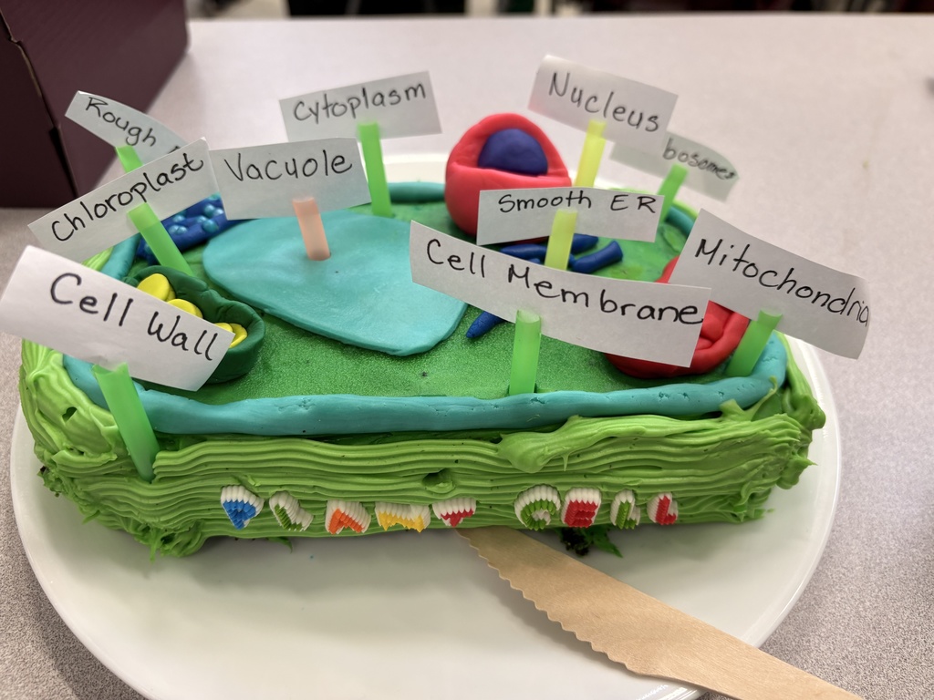 3D Plant Cell!