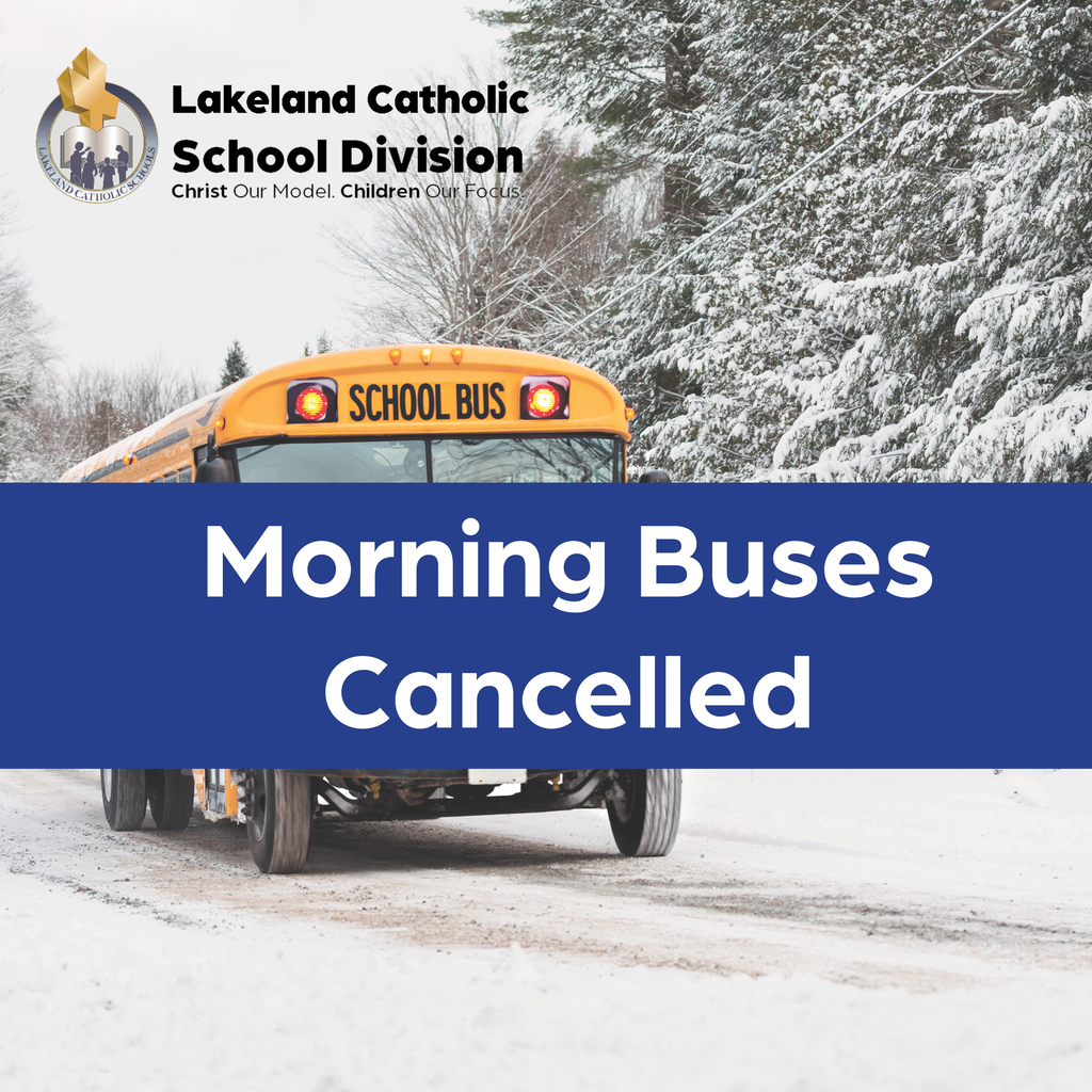Morning Buses Cancelled 2025