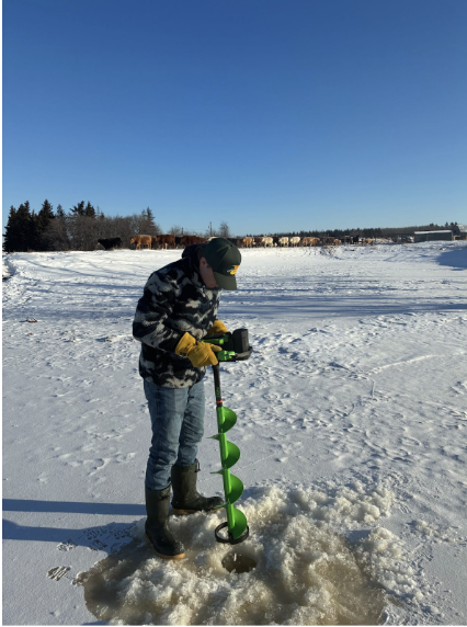 Screenshot 2026-02-26 at 9