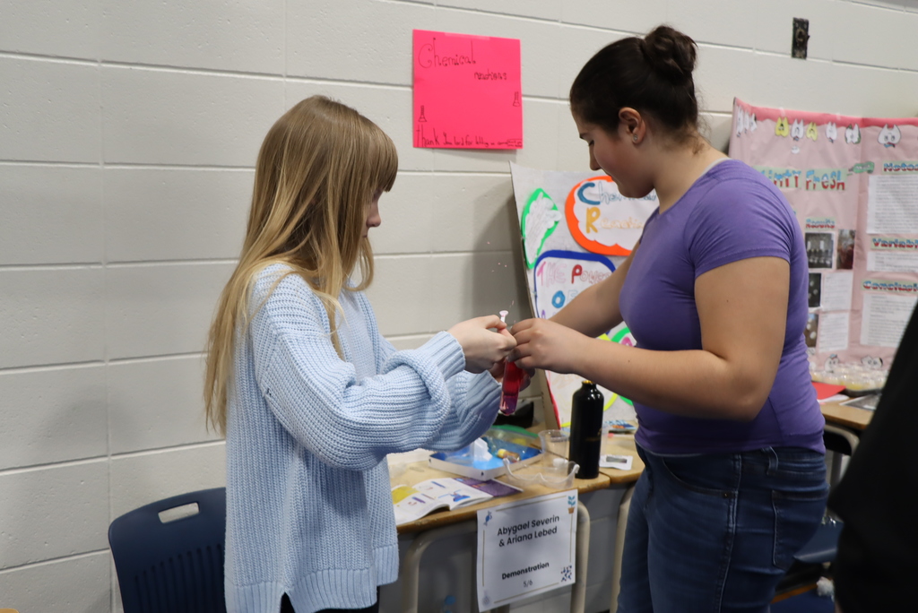 Dr. Brosseau Science FAir