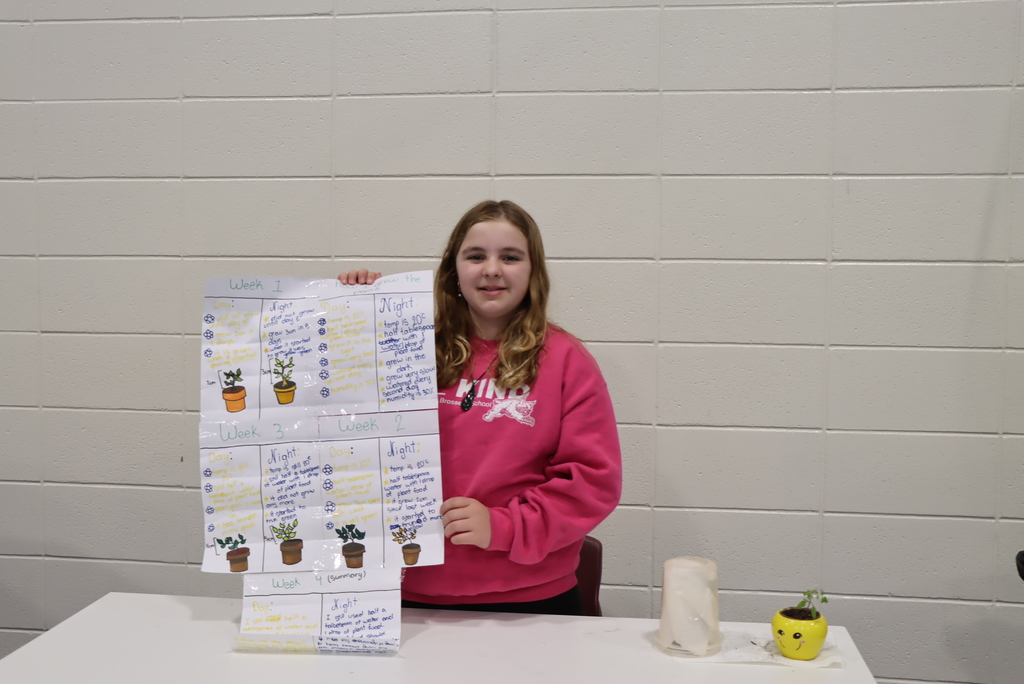 Dr. Brosseau Science FAir