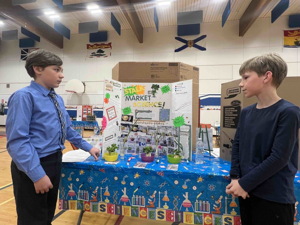 sde science fair 