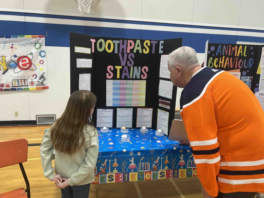 scrience fair