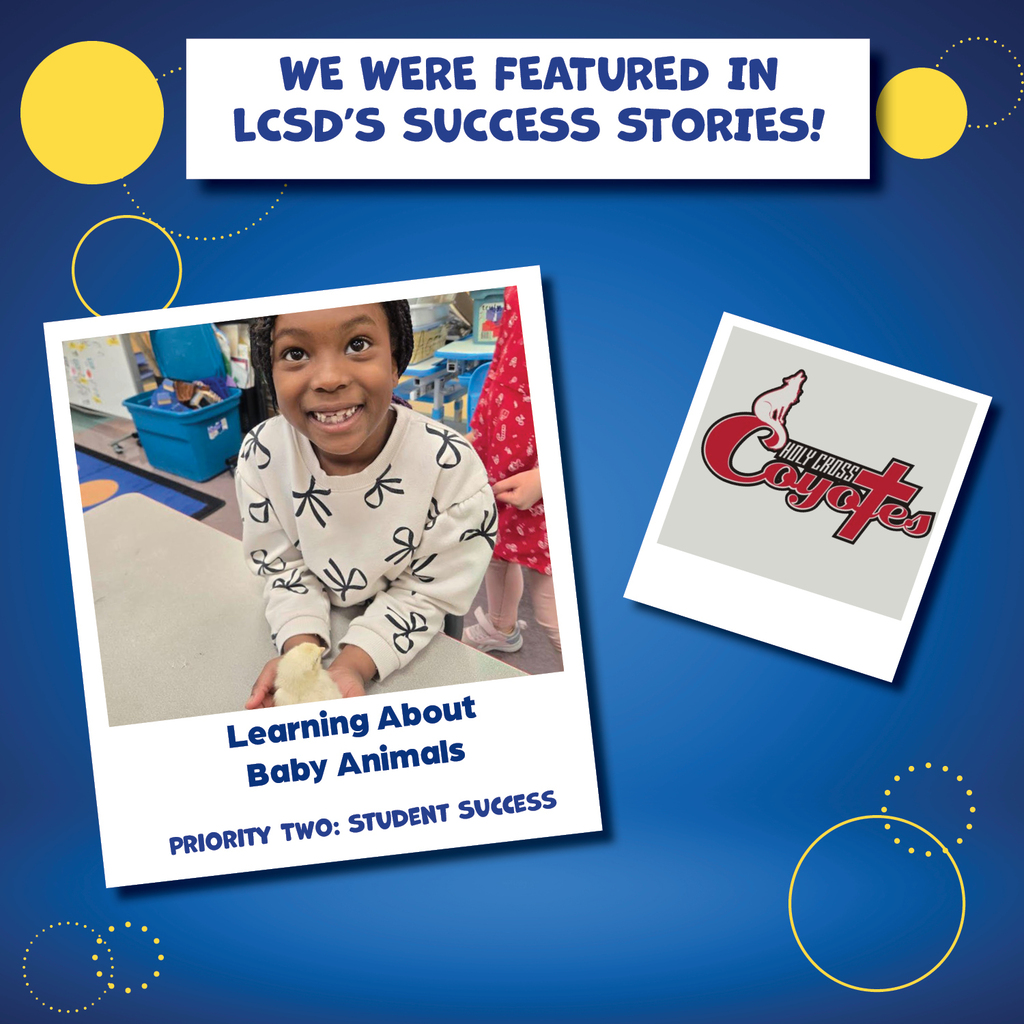success story recognition