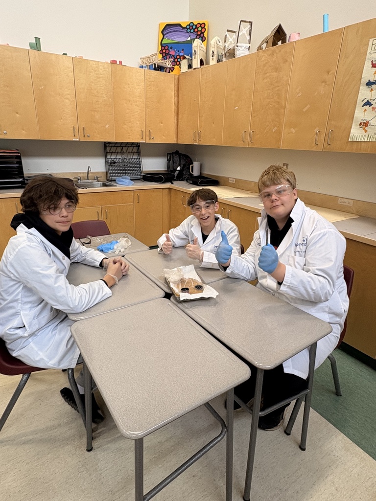 Dissecting Cow Eyes