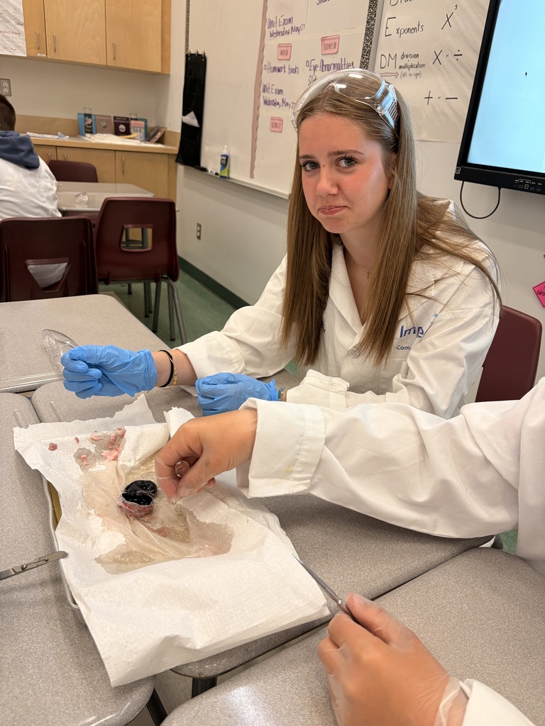 Dissecting Cow Eyes
