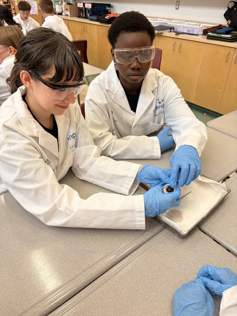 Dissecting Cow Eyes