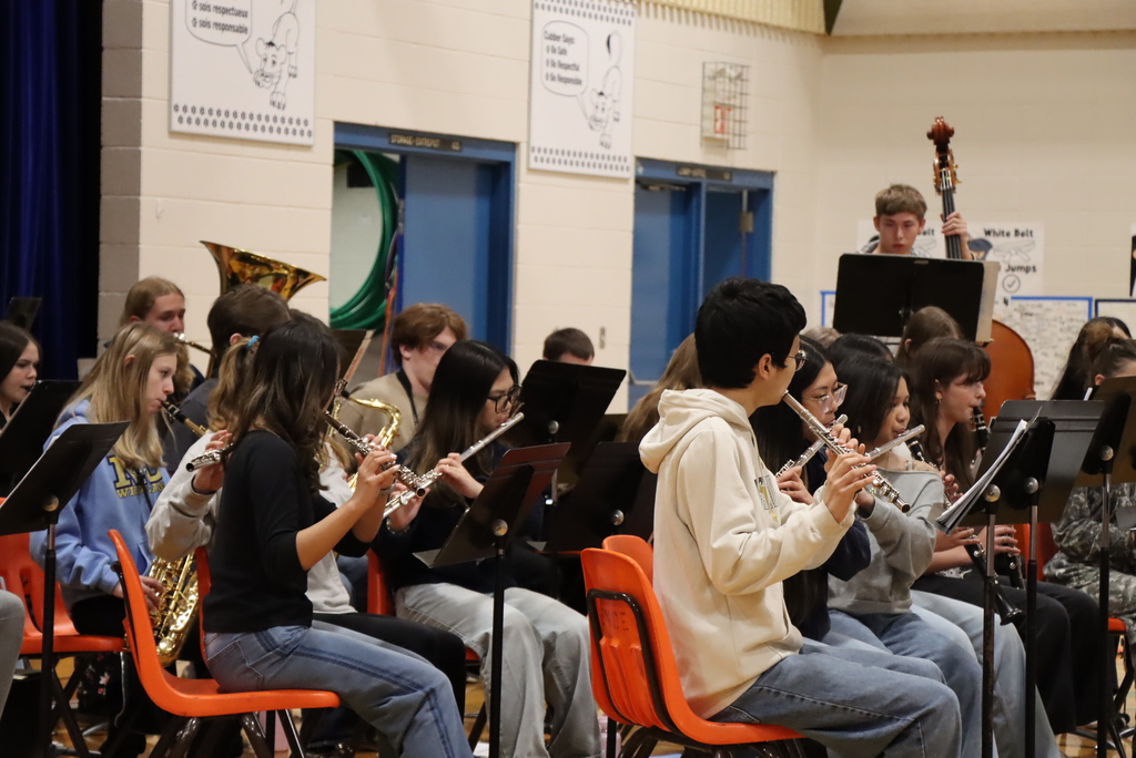 band performance