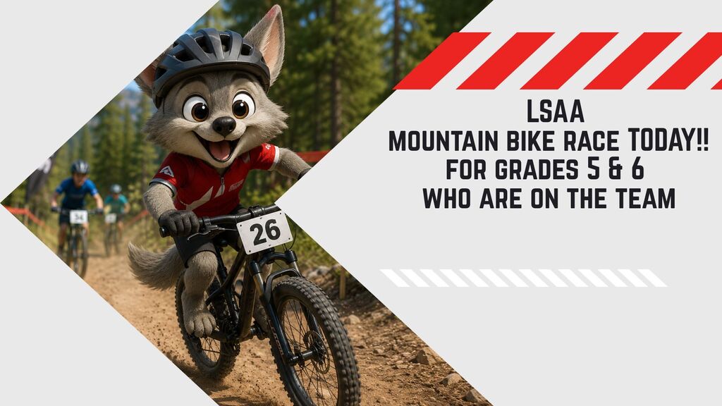 Mountain Bike Race