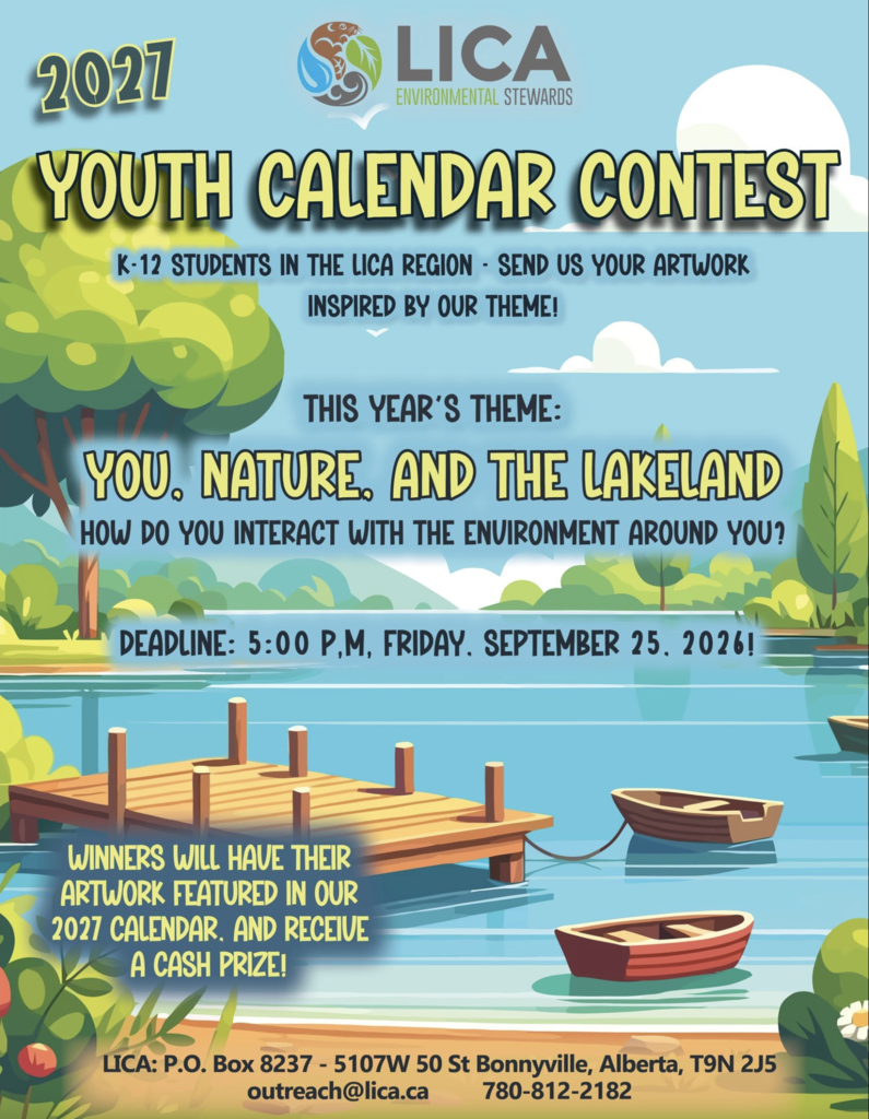 Youth Calendar Contest Poster