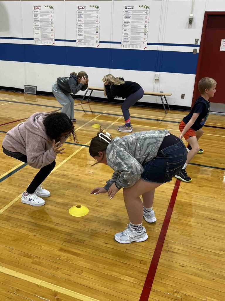 k- 6 physical education wellness progrmaming
