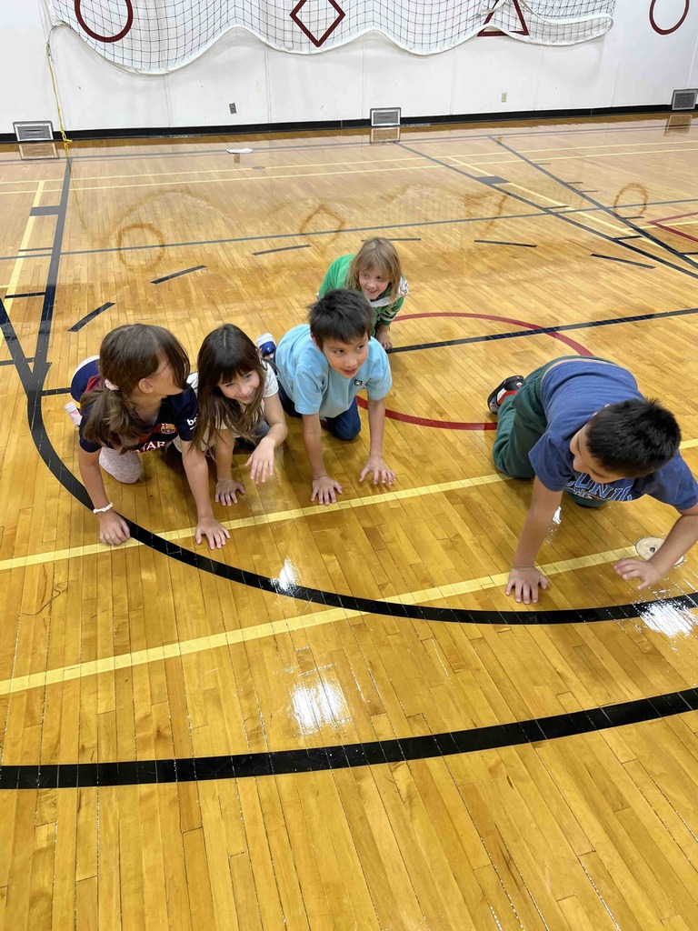 k- 6 physical education wellness progrmaming
