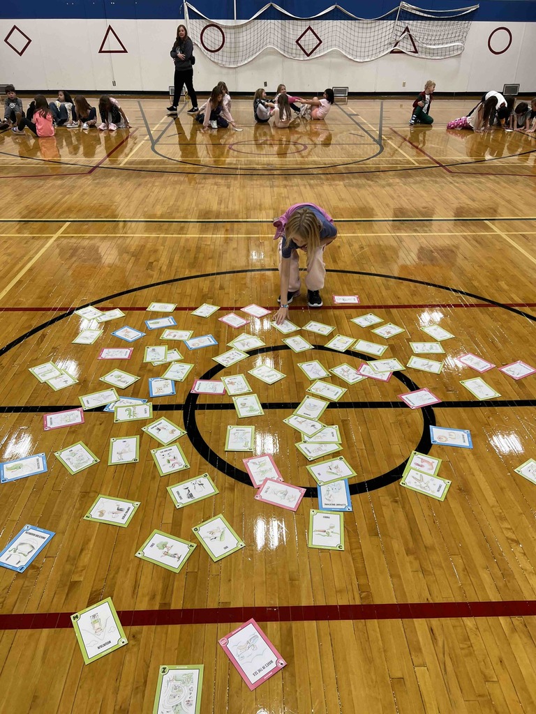k- 6 physical education wellness progrmaming