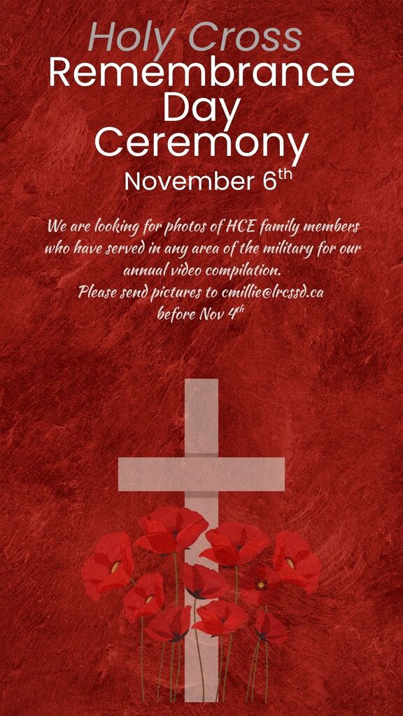 Nov 6