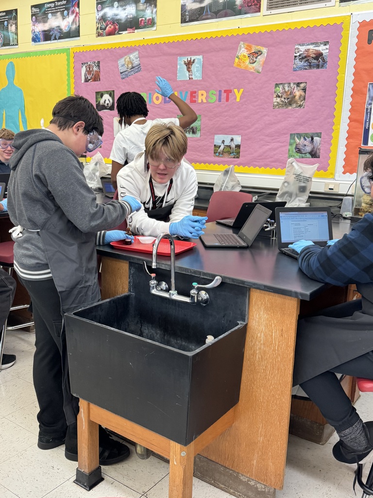 Chemical or Physical Change?