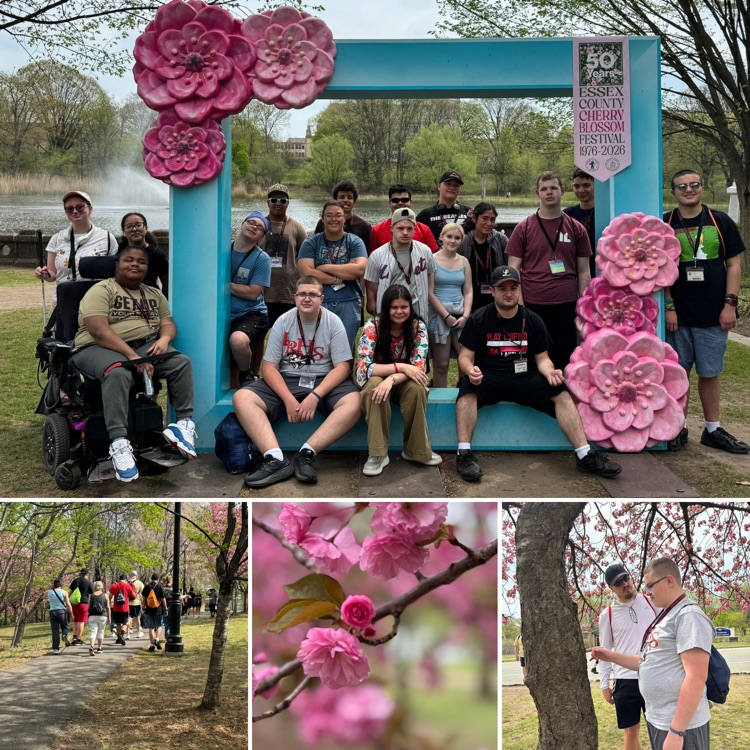 Branch Brook Park Cherry Blossom Festival