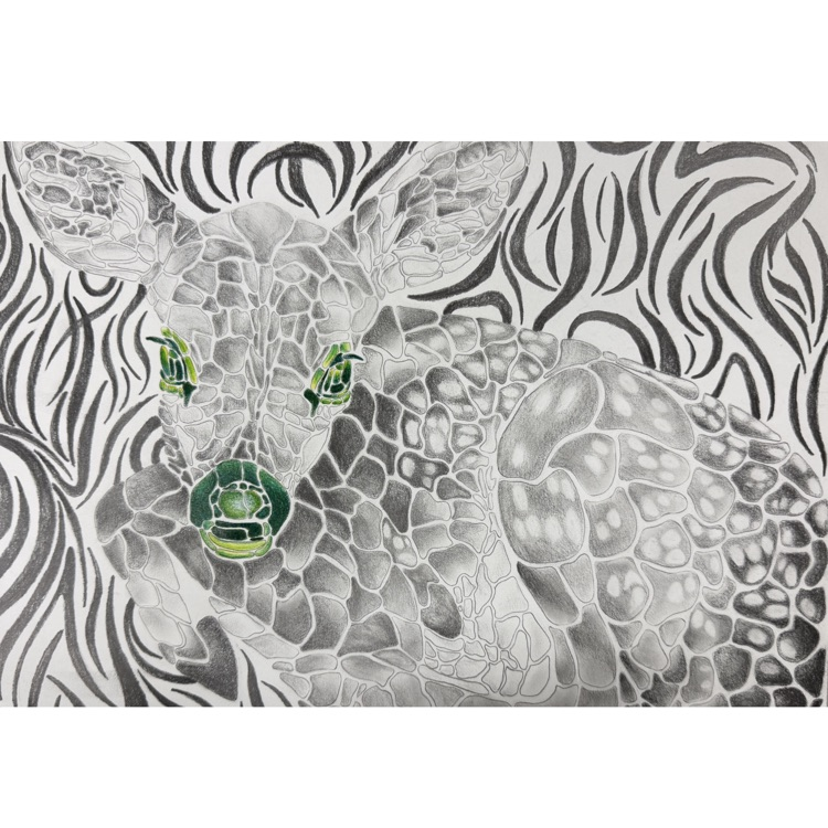Studio Art students did an amazing job on their mosaic drawings! Shannon Donahue (Stevie Nicks) & Julia Donza (baby deer).