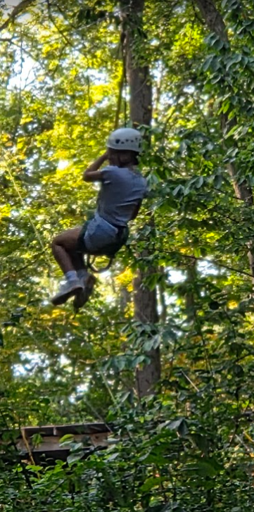 Treetree