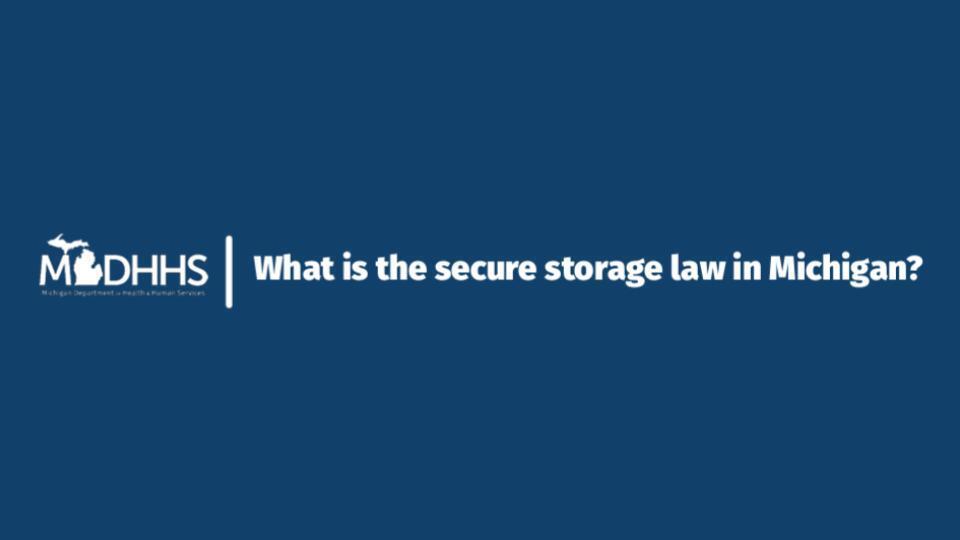 Safe Storage Laws